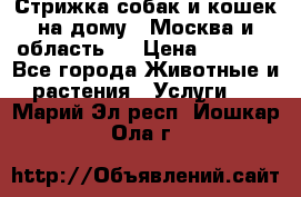 Стрижка собак и кошек на дому.  Москва и область.  › Цена ­ 1 200 - Все города Животные и растения » Услуги   . Марий Эл респ.,Йошкар-Ола г.